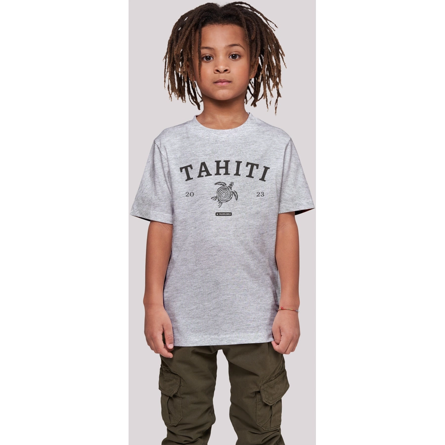 F4NT4STIC T-Shirt Tahiti heather grey