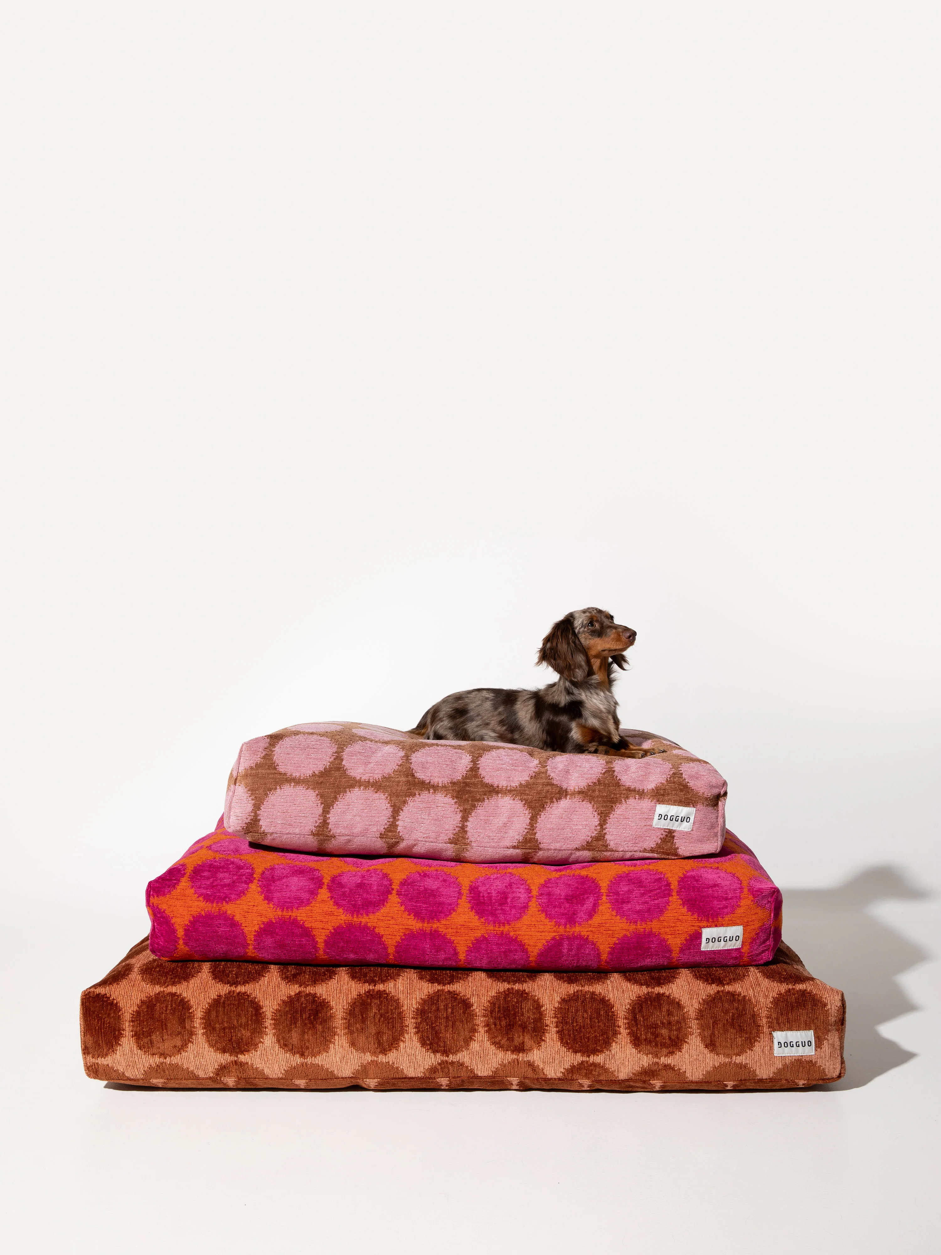 Huisdierbed Dot, in verschillende formaten