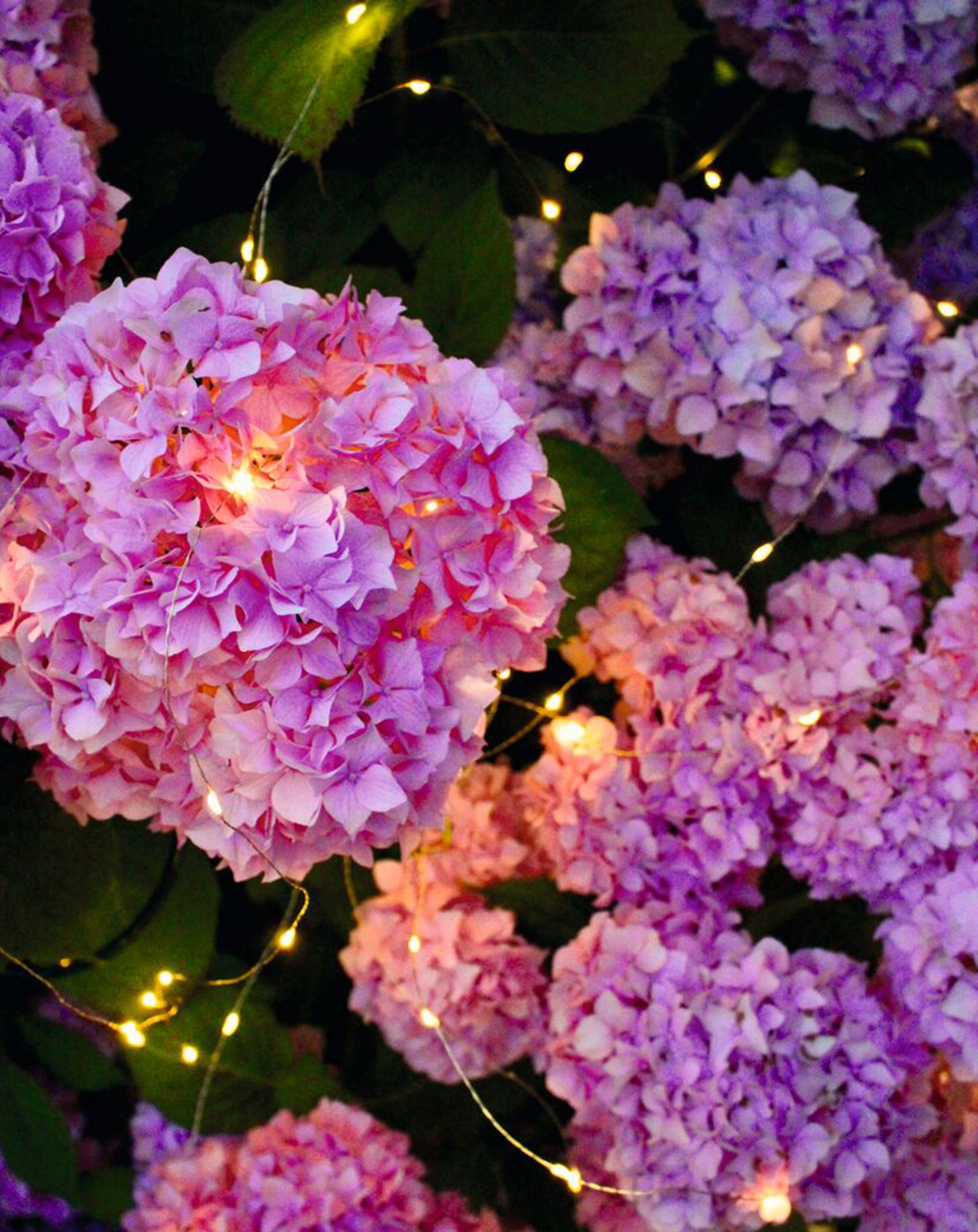 Solar-Lichterkette BLATT & BLÜTE - LICHTREGEN