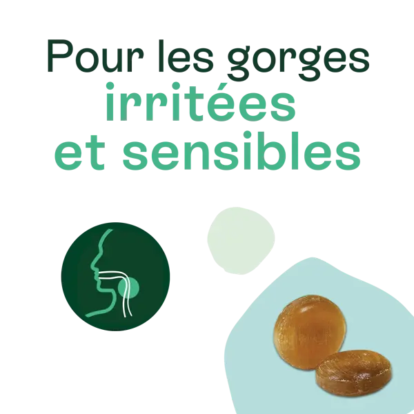 Naturactive VoxylTabs pastilles gorge irritée senssible 24 pastilles sans sucre