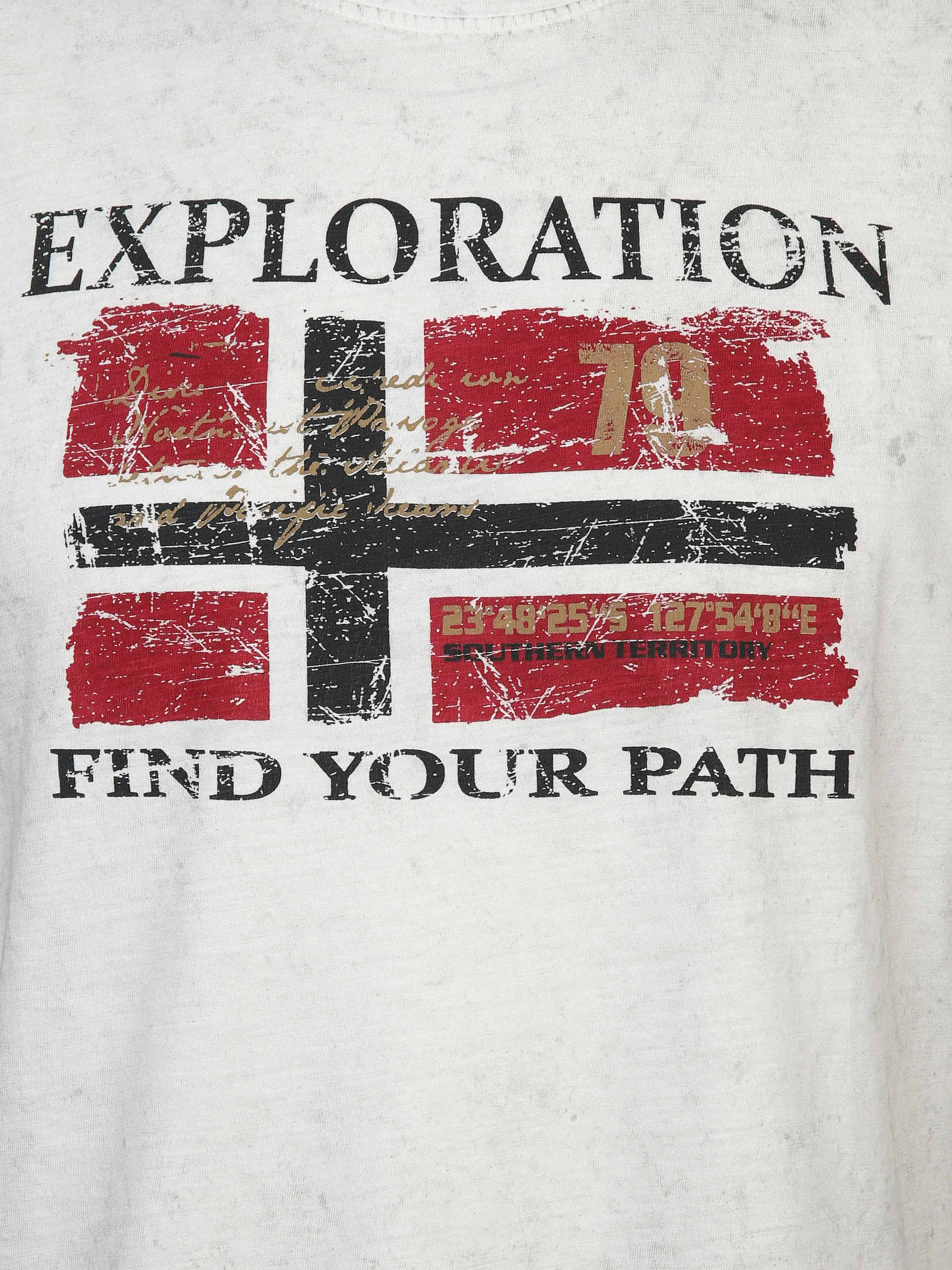 Herren T-Shirt mit Frontbild