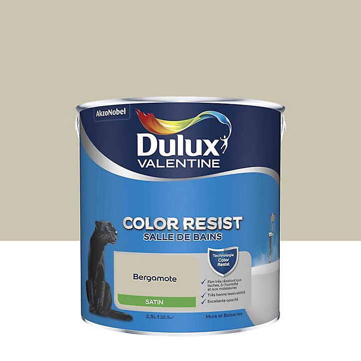 Peinture murs et boiseries Color Resist salle de bains Dulux Valentine satin bergamote 2,5L