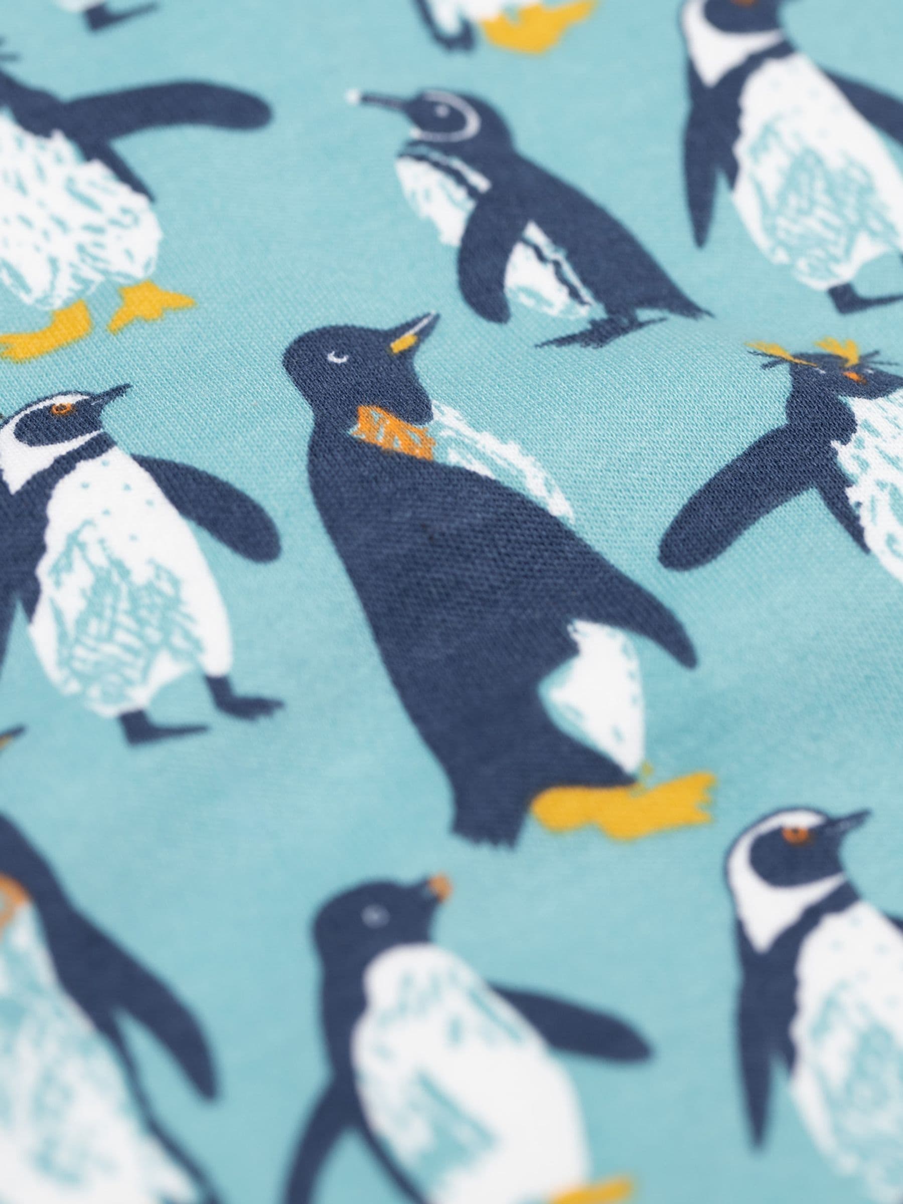 Blauw - Frugi Kerstmis Sundown Pyjama's