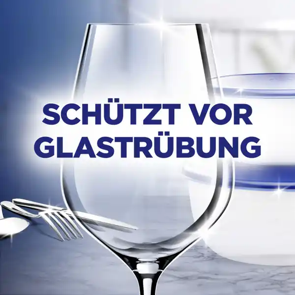 Protector Farb- und Glanzschutz