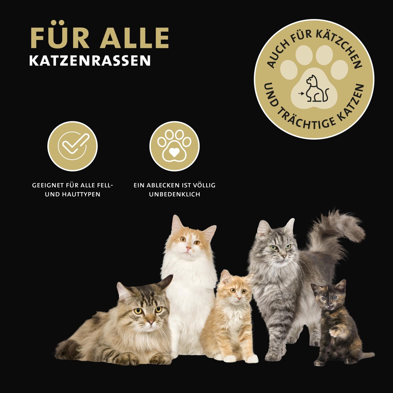 Peticare Anti-Parasiten Mittel für Katzen-Ohren, gegen Ohrmilben Pilze 100 ml