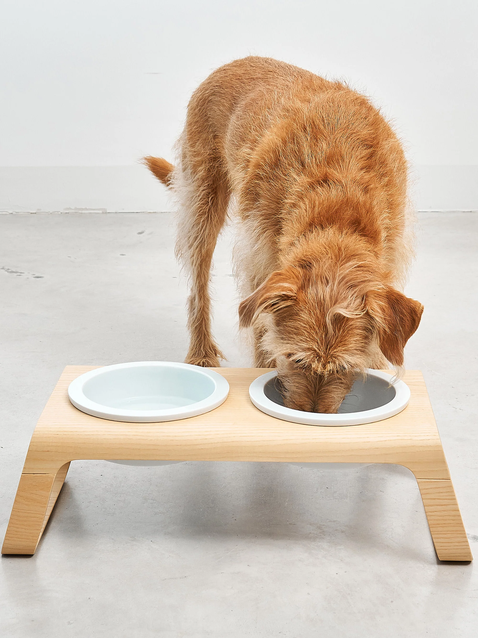 Voerbakken Desco met standaard, H 17 cm