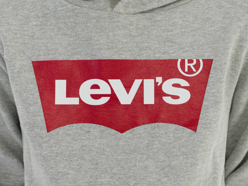 Levi's hoodie Batwing met logo grijs melange
