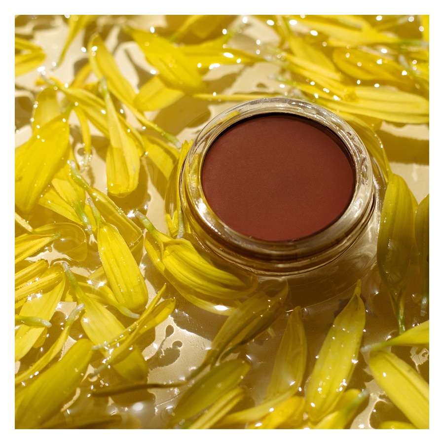 Ere Perez Arnica All-Cover Pot Espresso 5g
