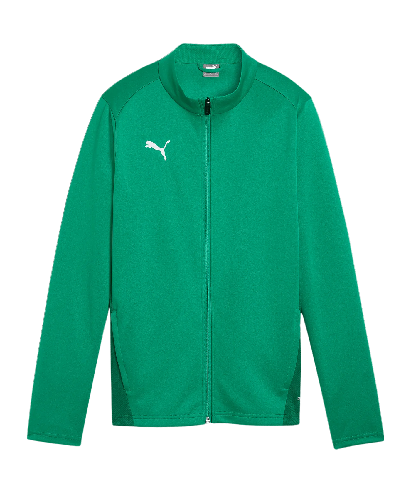 PUMA teamGOAL Trainingsjacke Damen Grün F05