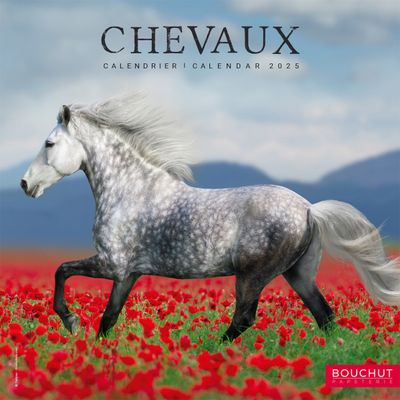 Calendrier illustré BOUCHUT 15 x 15 cm CHEVAL 70 %