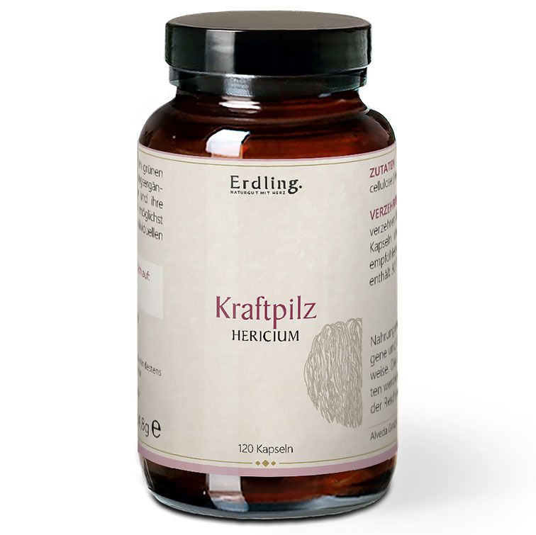 Erdling BIO Kraftpilz Hericium