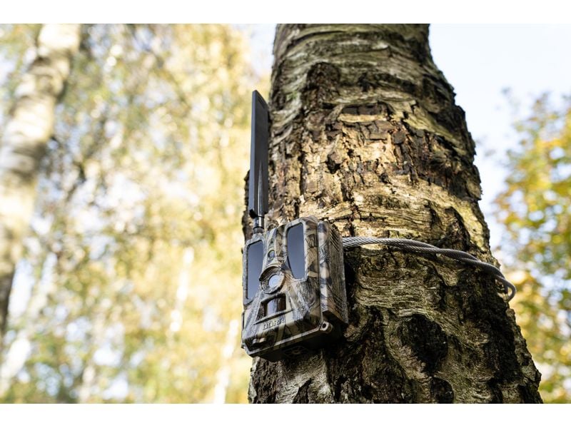 Dörr Kamera Wildkamera SnapShot Cloud Pro 4G Überwachungskamera für hochauflösende Wildtierbeobachtung und Sicherheitsüberwachung