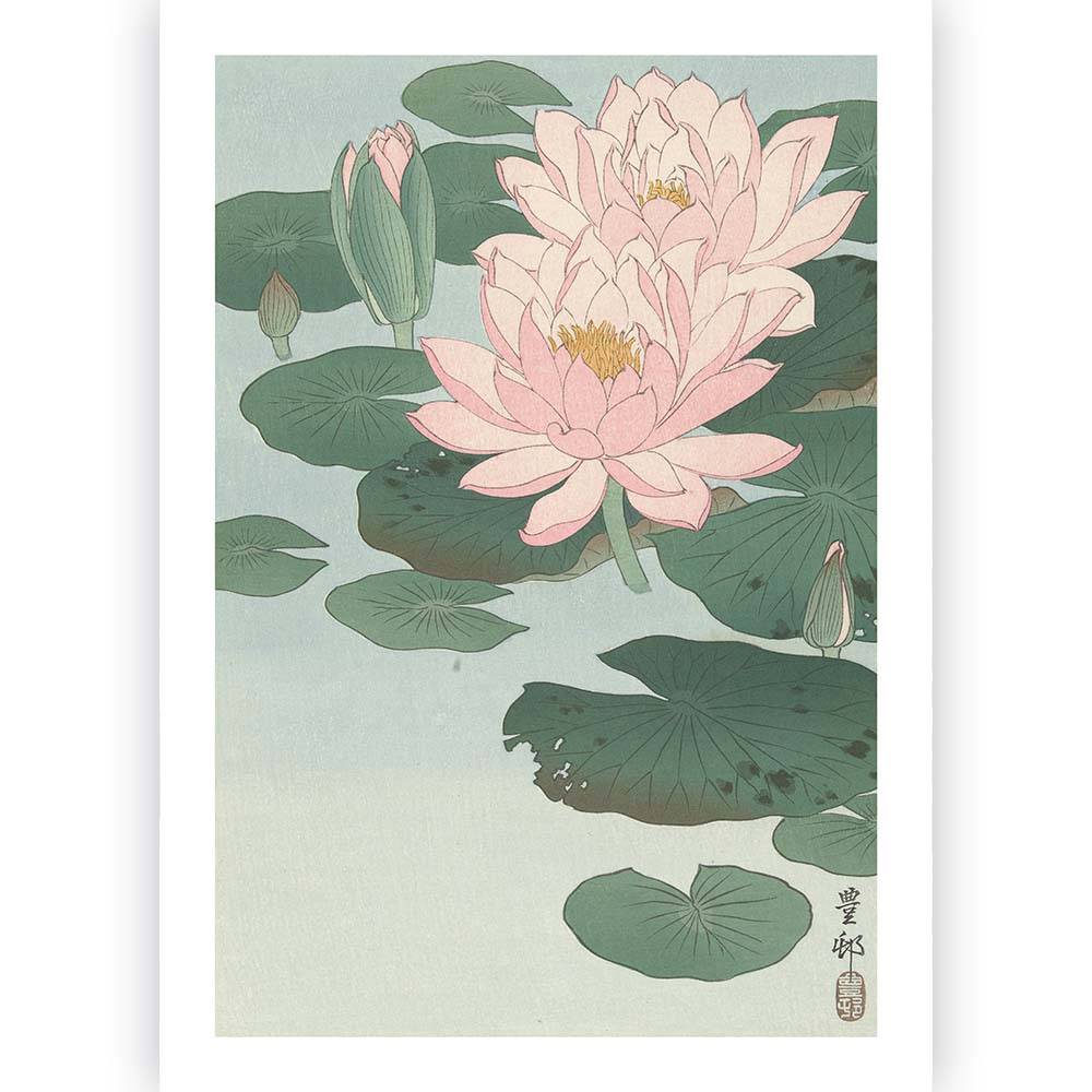 Poster Ohara Koson - Water Lily 60x90 cm
