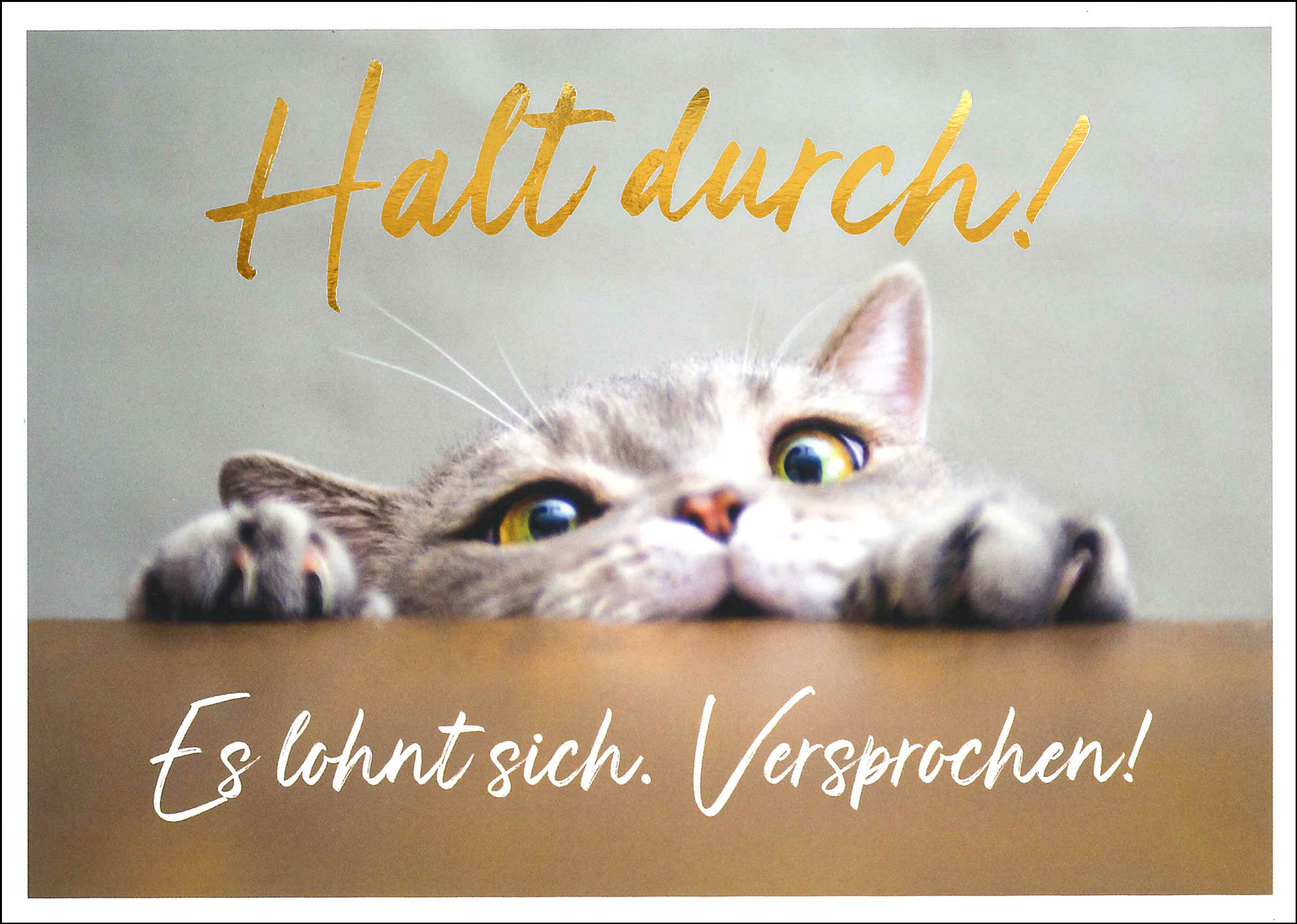 Postkarte 'Halt durch!' günstig bestellen