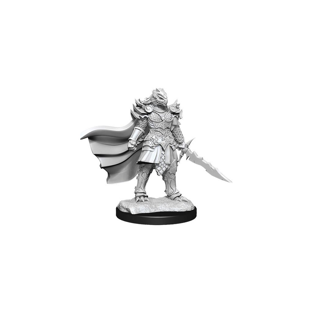 D&D Nolzur's Marvelous Unpainted Miniatures: Female Dragonborn Fighter