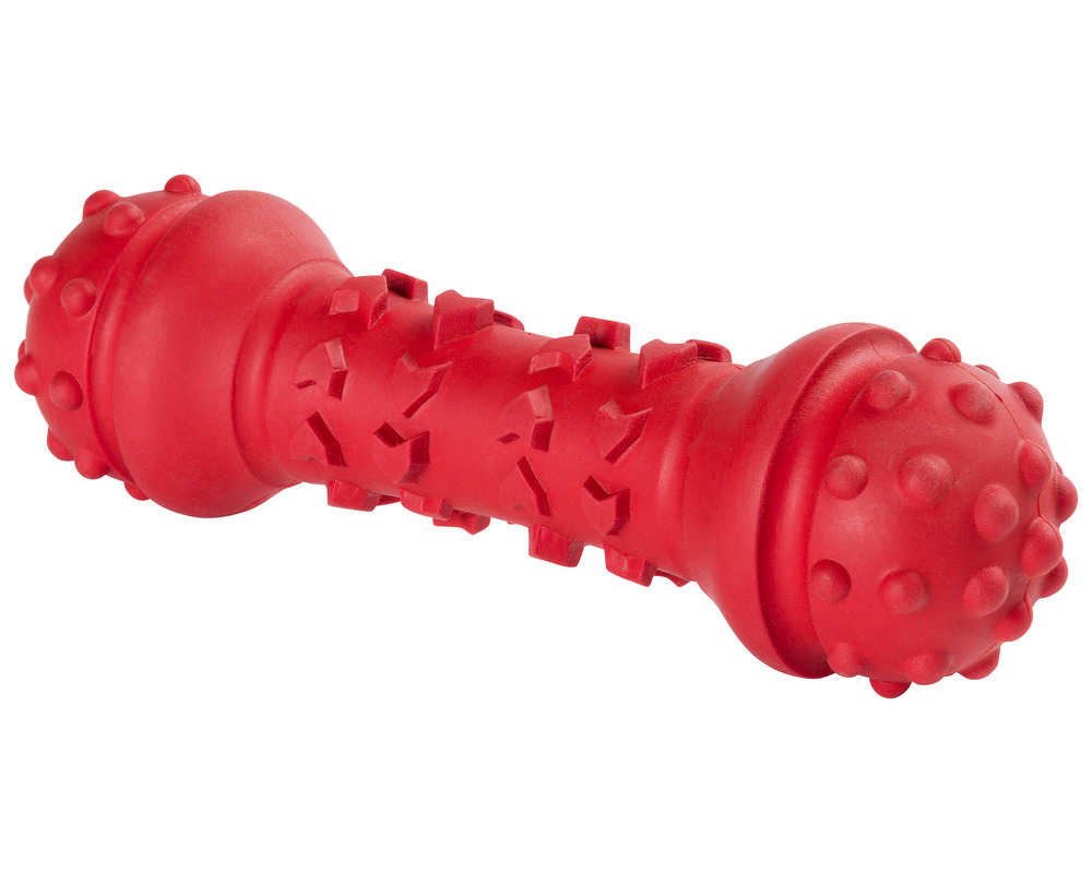 Jouet à mâcher chien dumbbell • jouets pour chiens
