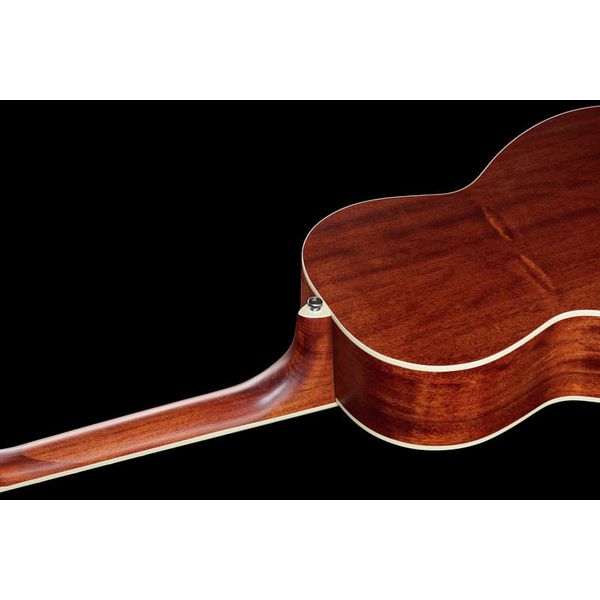 Ibanez PNB14E-OPN Acoustic Bass
