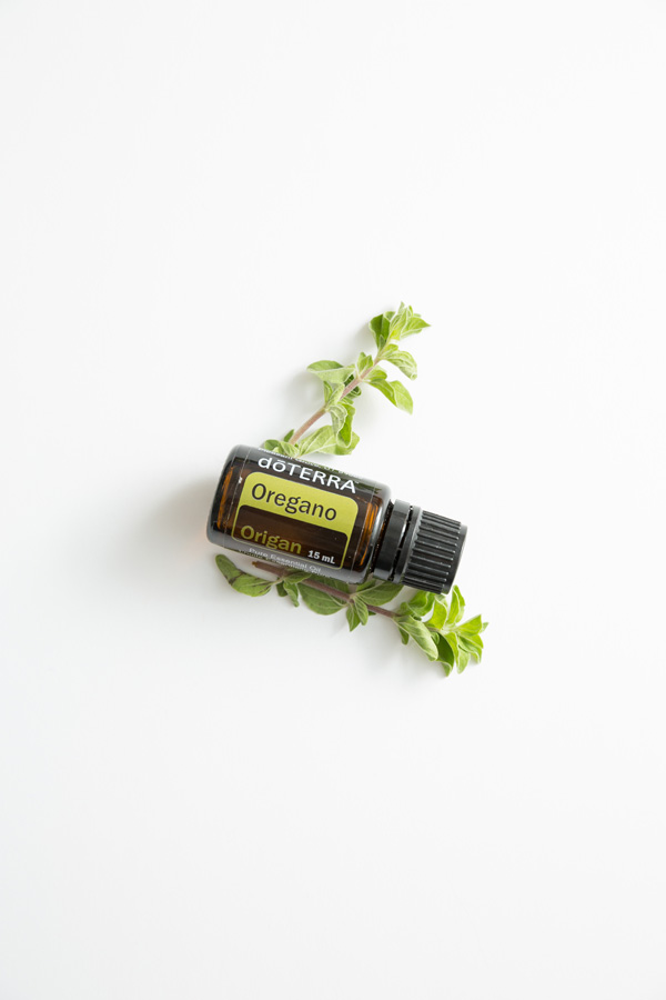 Huile d'origan   Origanum vulgare
