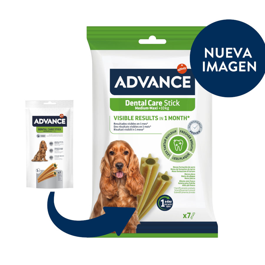 Petiscos Advance Dental Care nos tamanhos Médio e Maxi para cães.