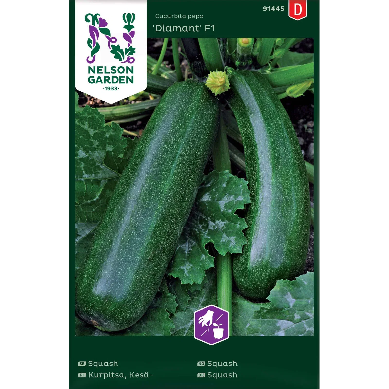 Cucurbita pepo 'Diamant' Squash 'Diamant'