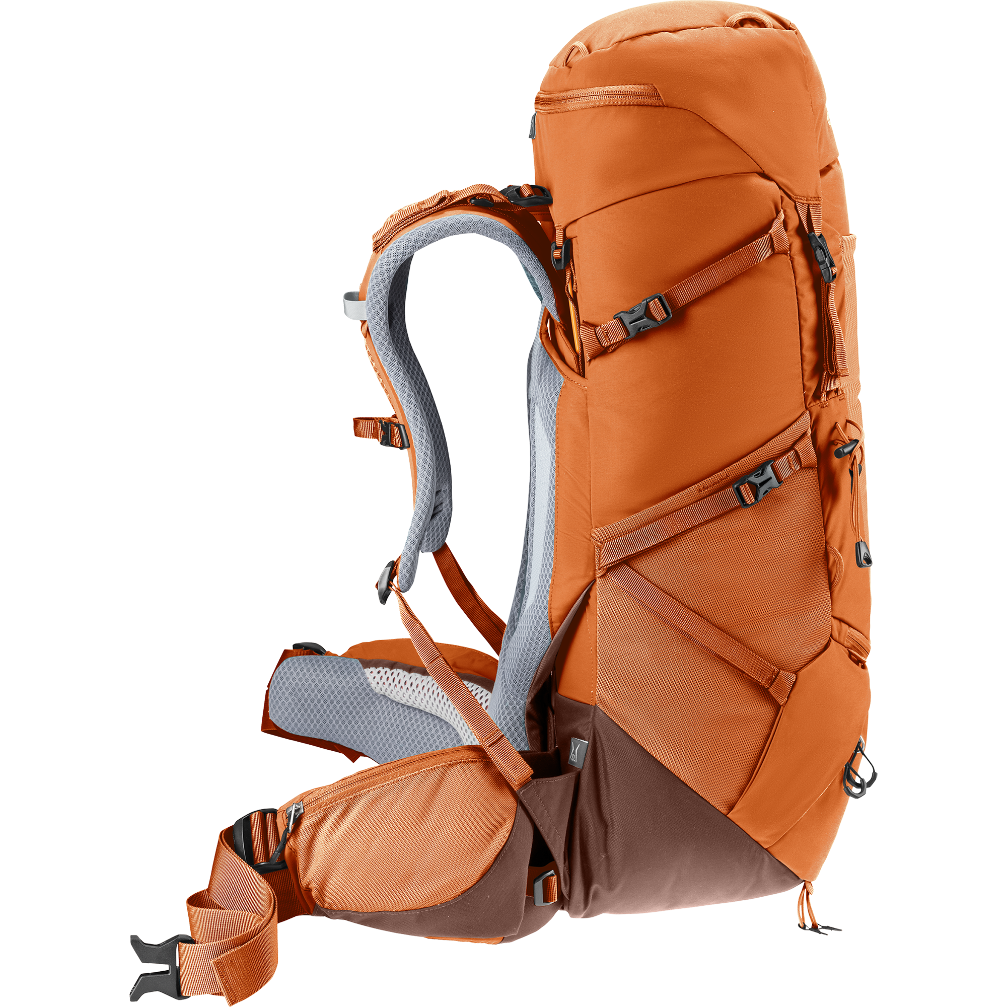 deuter Aircontact Core 35l+10 SL Trekkingrucksack Damen chestnut umbra