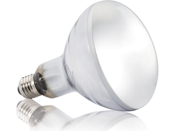 Hagen EXOTERRA SOLAR GLO 160W Pære
