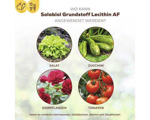 Lecithine basis ingrediënt Solabiol plantenversterkende spray 1 l gebruiksklare pompspray natuurlijke schimmelbescherming op groenten