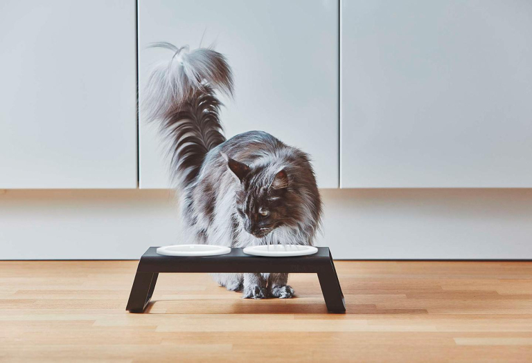 MiaCara Desco kattenvoerbak porselein wit