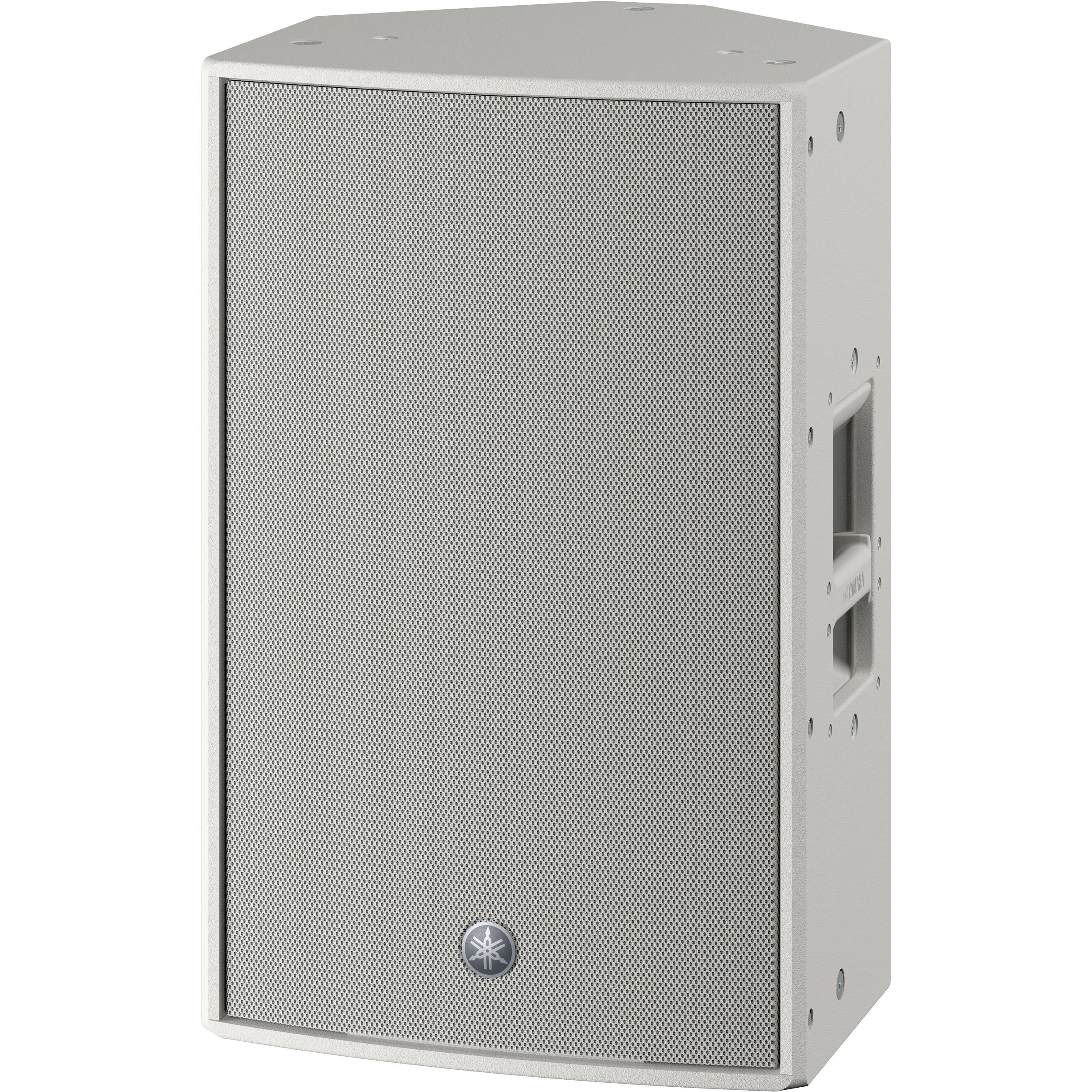 Yamaha DZR12W met beschermhoes