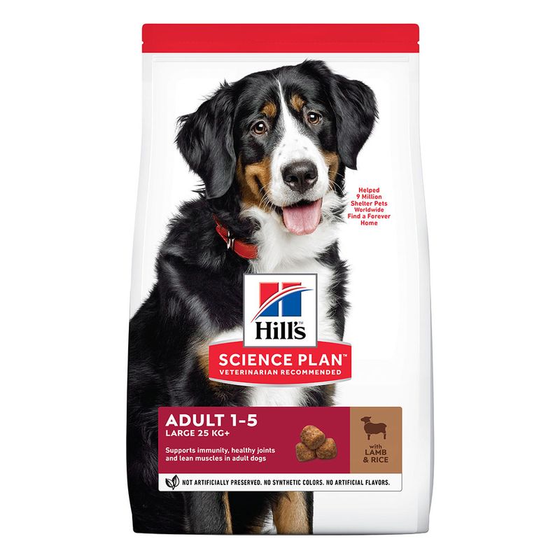 Lots économiques Hill's Science Plan Canine