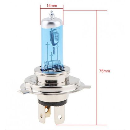 Ampoule Brazoline Xenon H4 blanc Universel