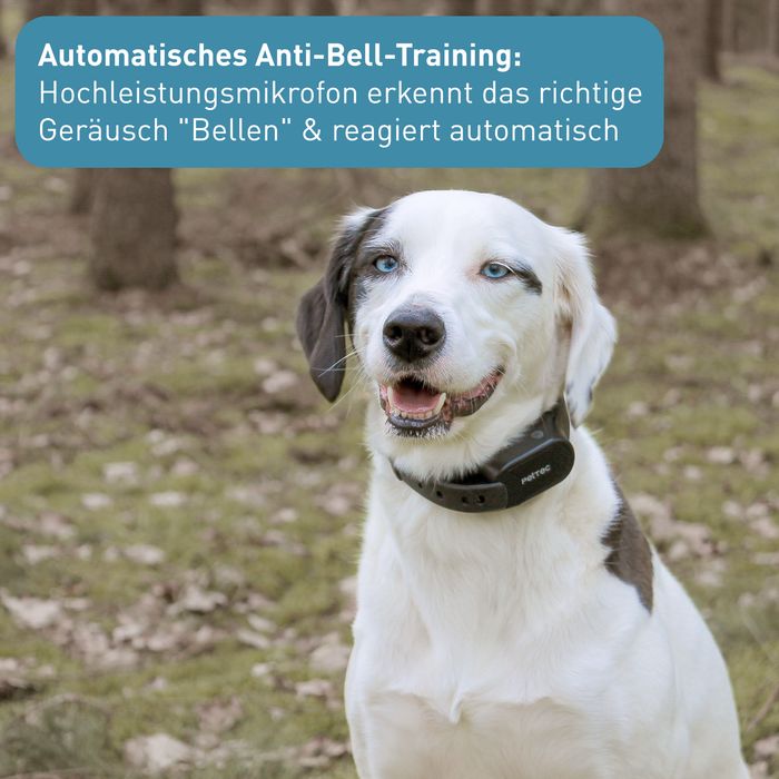 PetTec Antibell Spray-Trainer inkl. Citronella-Spray