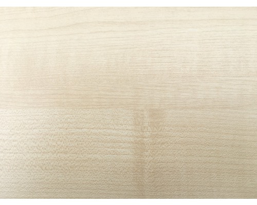 Esdoorn plank 19x200x1000 mm