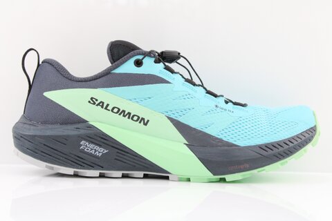 Salomon Sense Ride 5 GTX W