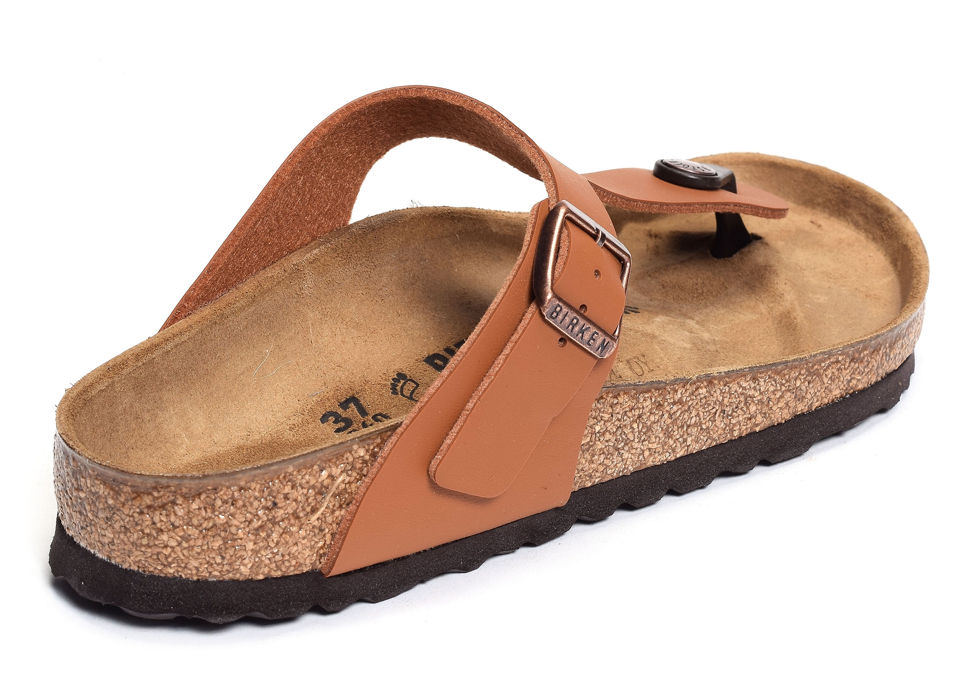 Gizeh camel