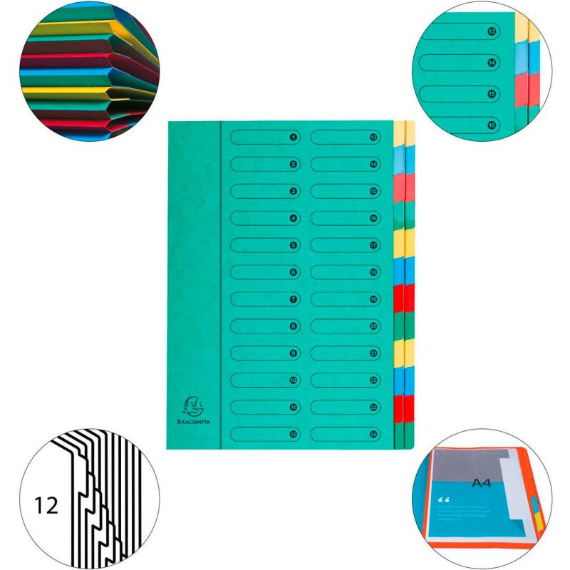 Trieur carte Exacompta Harmonika 24 divisions vert