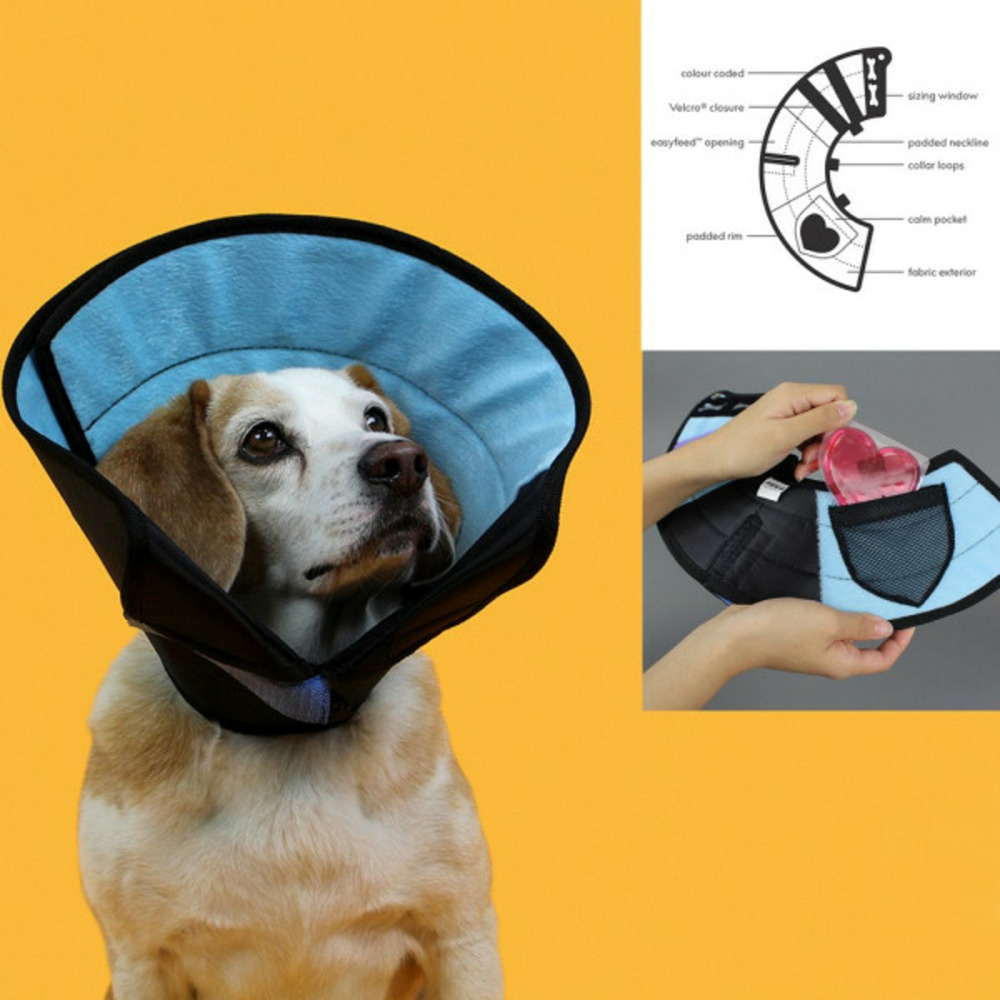 Collier de protection isabelino pour chiens calmer multicouleur (33-43 cm)