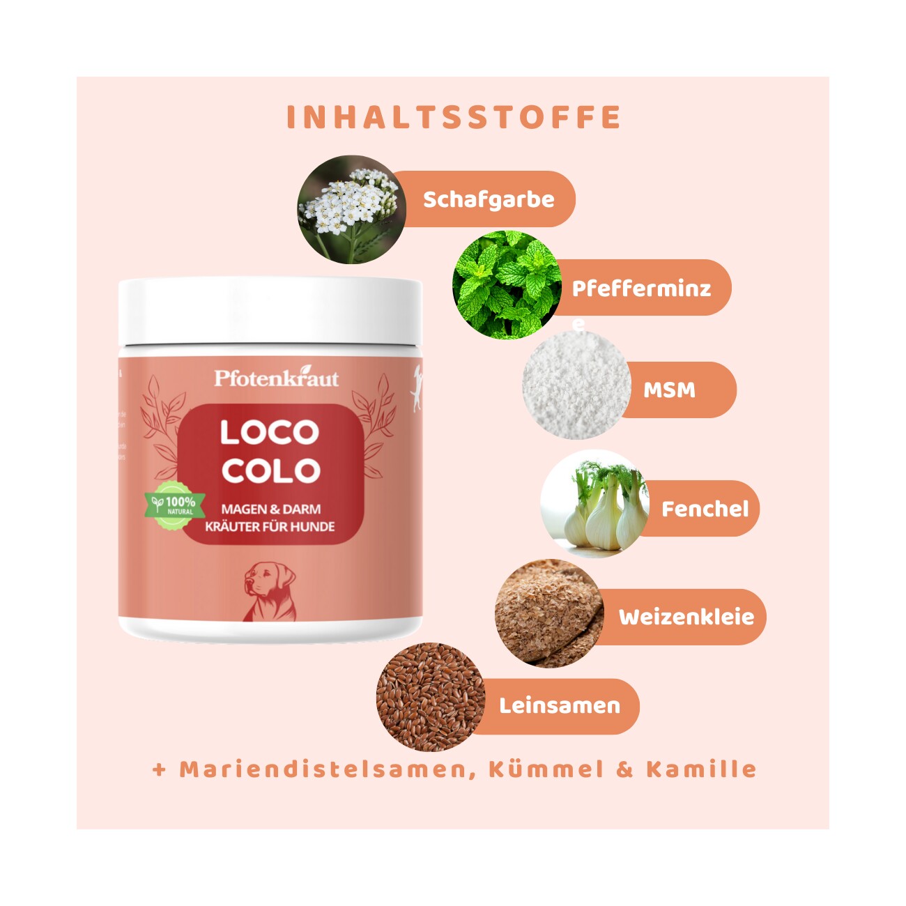 Pfotenkraut Darm Kräuter LOCO-COLO 200g