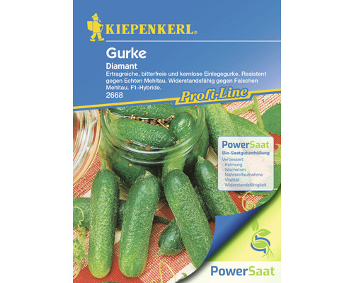 Pickling cucumber Diamant Kiepenkerl PowerSaat hybrid seeds vegetable seeds