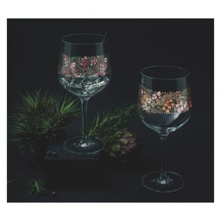 RITZENHOFF Gin-Kelch SCHATTENFAUNA II M. ENTERRIOS 2er Set
