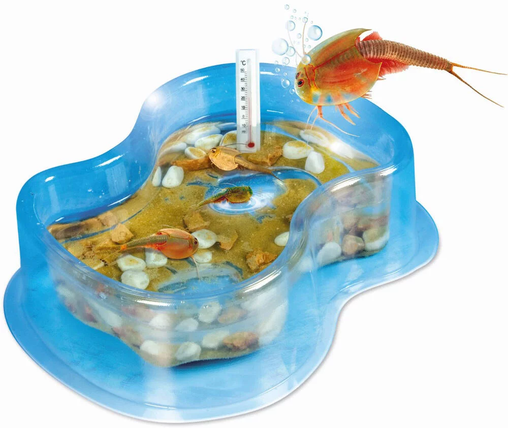 SCIENCE ET JEU - MES PREMIERS TRIOPS