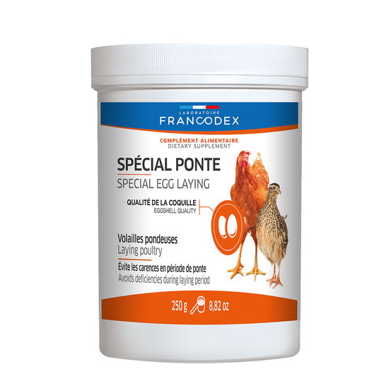 Aliment minéral Spécial ponte pour poule pondeuse : 250g