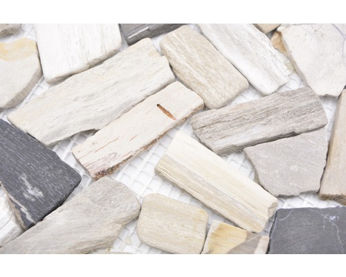 Natuursteen mozaïek gebroken/Ciot mix hout steen fossiel