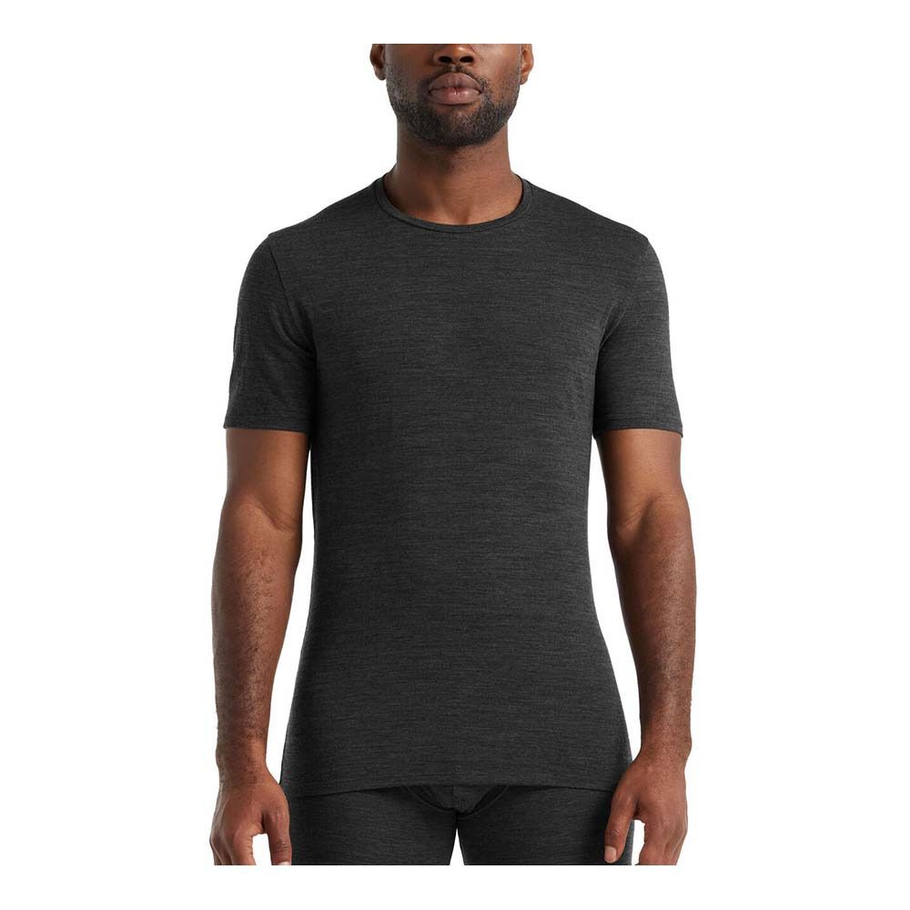 Icebreaker ANATOMICA MERINO - Tee-shirt Homme jet hthr