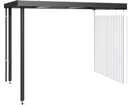 Biohort zijdak voor HighLine H2 282 x 195 cm donkergrijs metallic