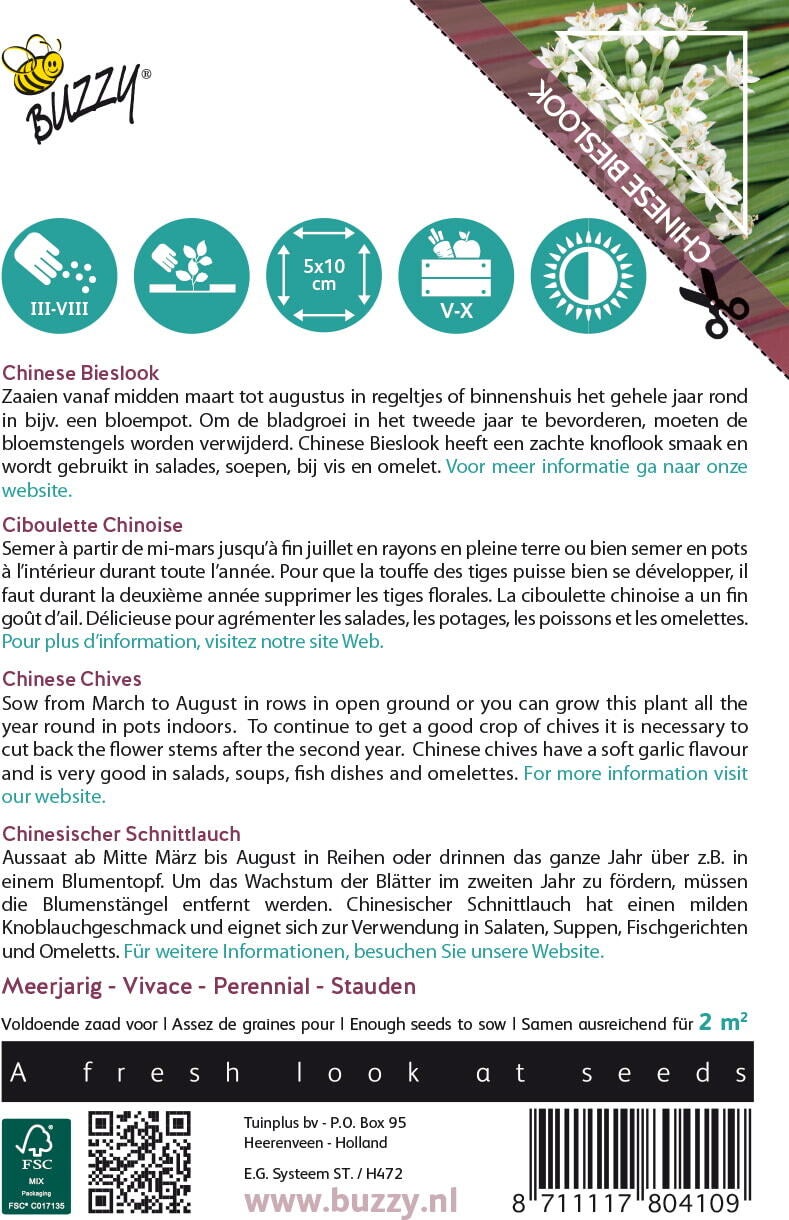 Buzzy® Thema SeriesXotica Chinese Bieslook