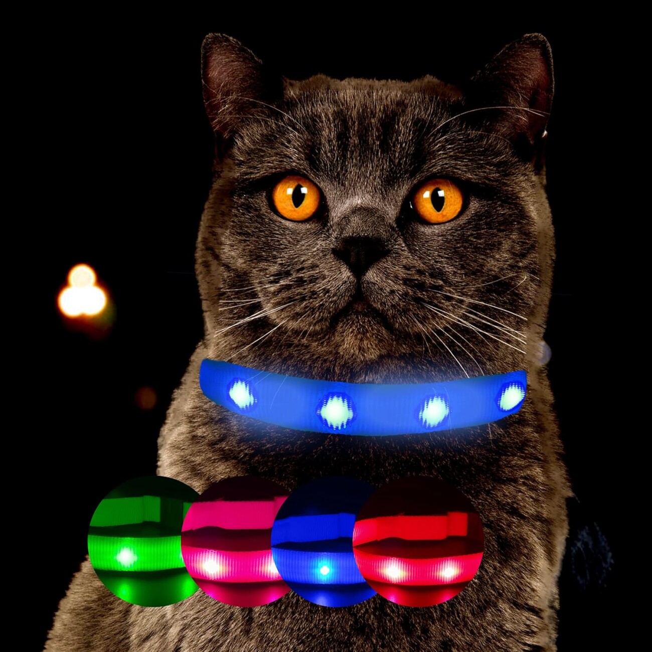 Petsation leuchtendes Katzenhalsband M-L blau