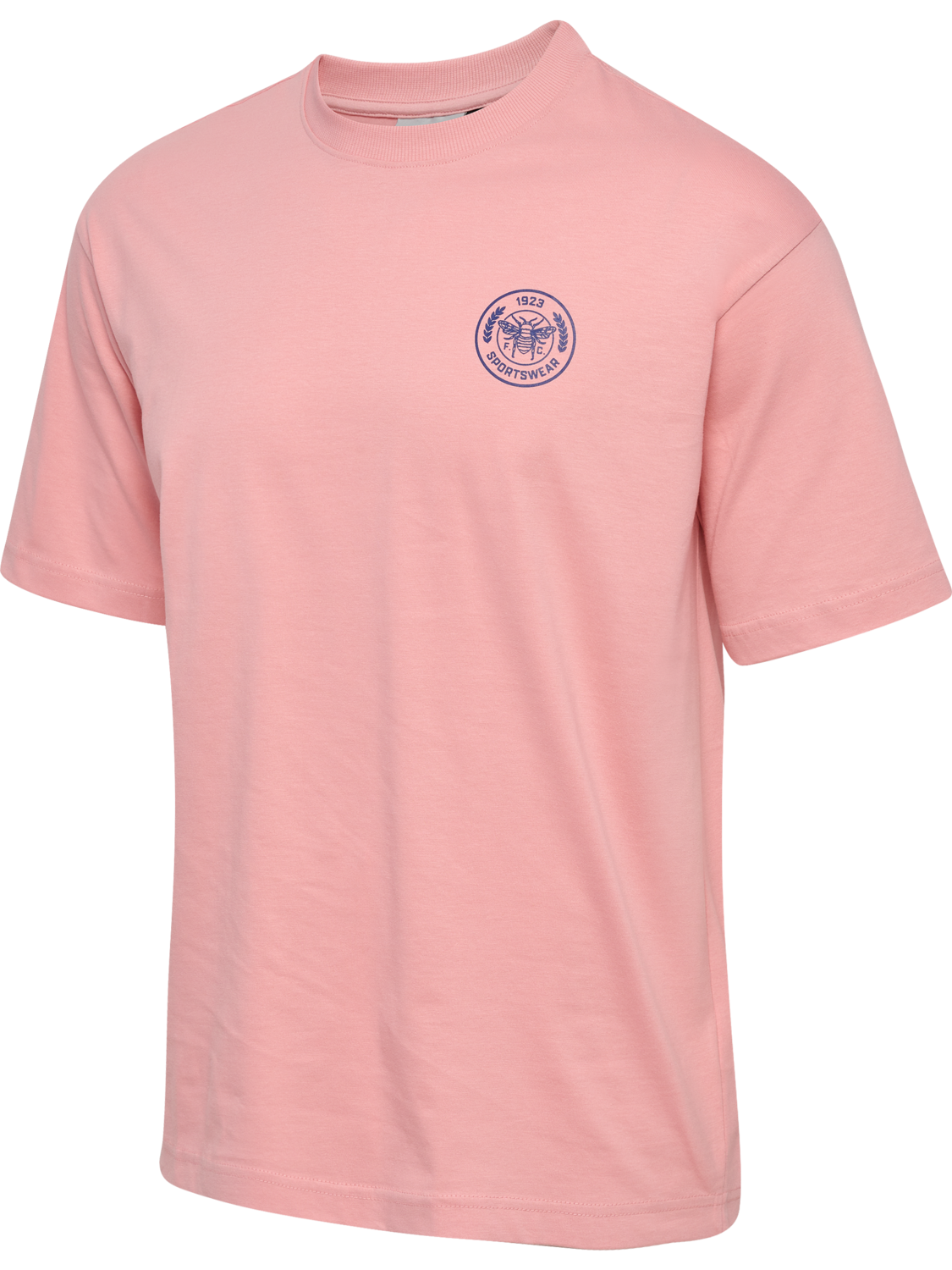 hmlSWARM LOOSE T-SHIRT