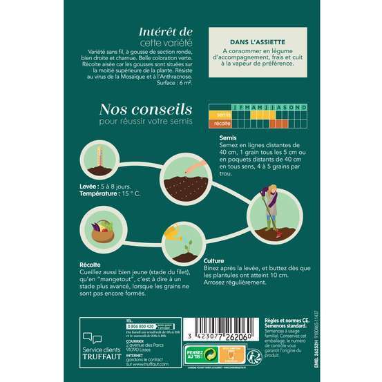 Graines de haricot nain extra-fin Olympus en boite