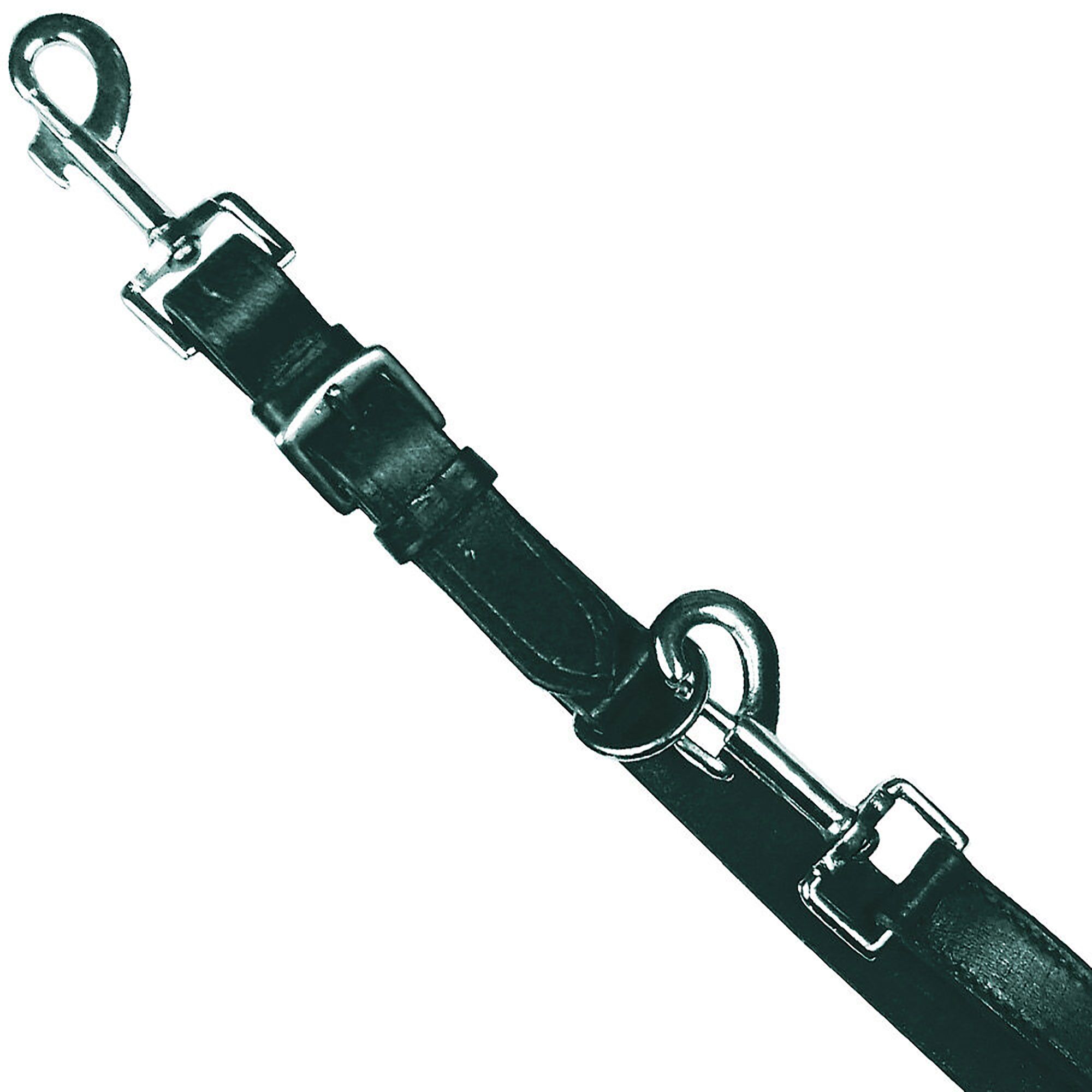Schecker Hundeleine - Zügelleder-Kollektion